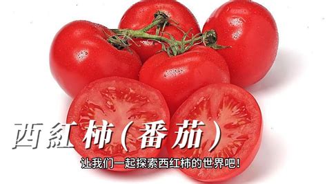 牛番茄屬性 月薪35000
